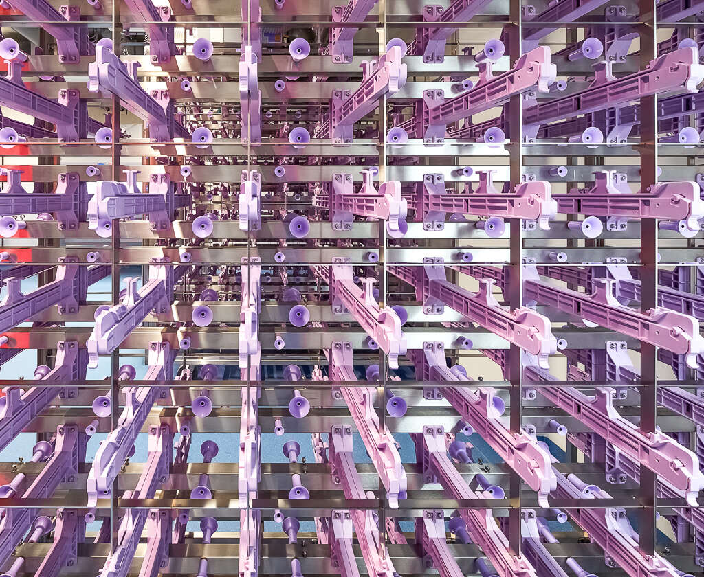 Projekt CP Bauteam GmbH, Taconic Biosciences GmbH